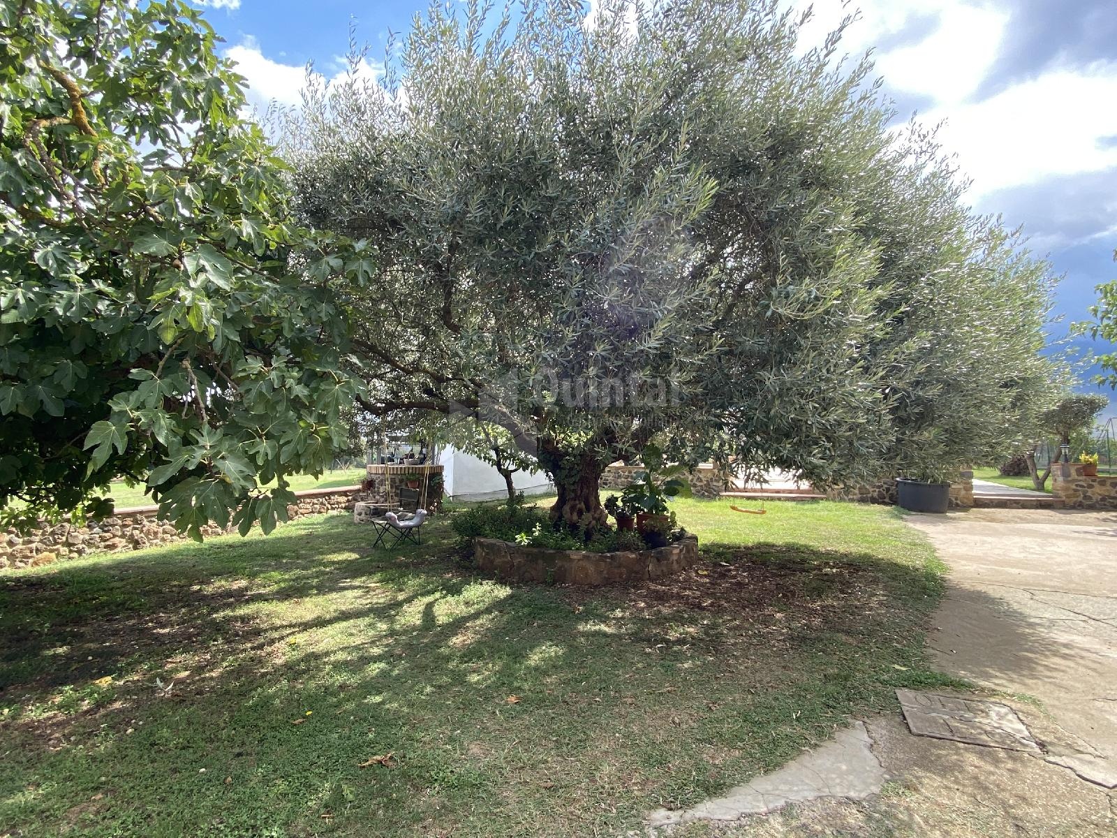 Masia restaurada